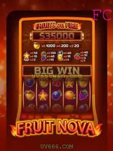 FruitNova: Explorando a Jogabilidade e Regras do Novo Jogo Inovador